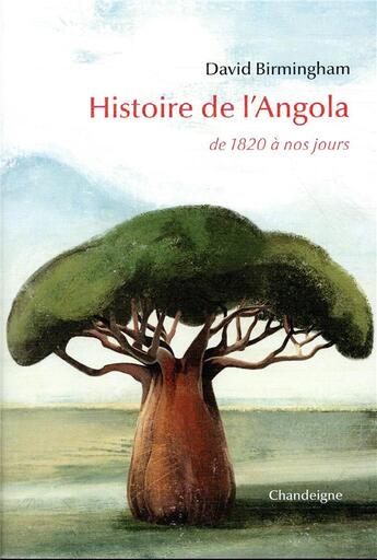 Couverture du livre « Histoire de l'Angola, de 1820 à nos jours » de David Birmingham aux éditions Editions Chandeigne&lima