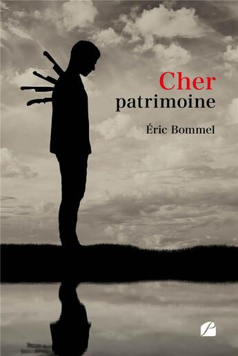 Couverture du livre « Cher patrimoine » de Eric Bommel aux éditions Editions Du Panthéon