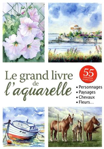 Couverture du livre « Le grand livre de l'aquarelle » de Nataly Boyko aux éditions Editions Esi