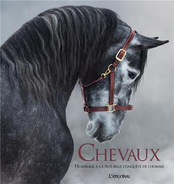 Couverture du livre « Chevaux ; hommage à la plus belle conquête de l'homme » de Michel Viard aux éditions L'imprevu