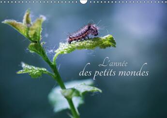 Couverture du livre « L annee des petits mondes calendrier mural 2018 din a3 horiz - a la decouverte des insectes d » de Gans C aux éditions Calvendo