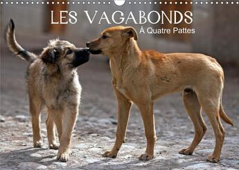 Couverture du livre « Les vagabonds a quatre pattes calendrier mural 2020 din a3 horizontal - des photos inhabituelles de (édition 2020) » de Philippe Henry aux éditions Calvendo