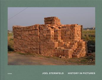 Couverture du livre « Joel Sternfeld : history in pictures » de Joel Sternfeld aux éditions Steidl
