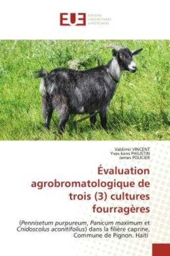 Couverture du livre « Evaluation agrobromatologique de trois (3) cultures fourrageres - (pennisetum purpureum, panicum max » de Vincent/Philistin aux éditions Editions Universitaires Europeennes