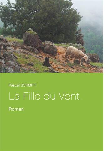 Couverture du livre « La fille du vent » de Schmitt Pascal aux éditions Books On Demand