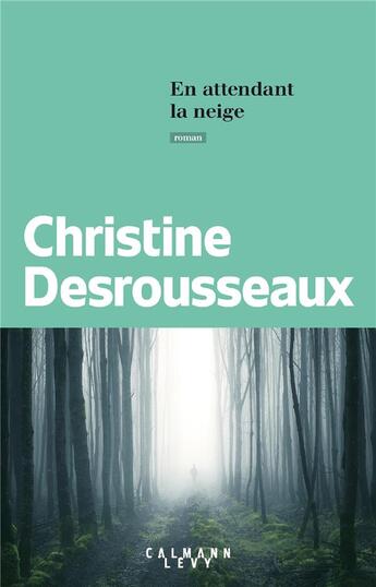 Couverture du livre « En attendant la neige » de Christine Desrousseaux aux éditions Calmann-levy