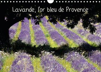 Couverture du livre « La lavande symbole de la prove » de Lepage Francois aux éditions Calvendo