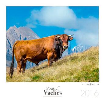 Couverture du livre « Calendrier 2016 Fous De Vaches » de  aux éditions Castor Et Pollux
