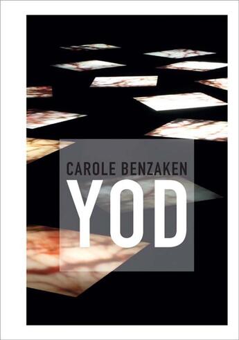 Couverture du livre « Carole Benzaken » de Numa Hambursin et Carole Benzaken aux éditions Lienart