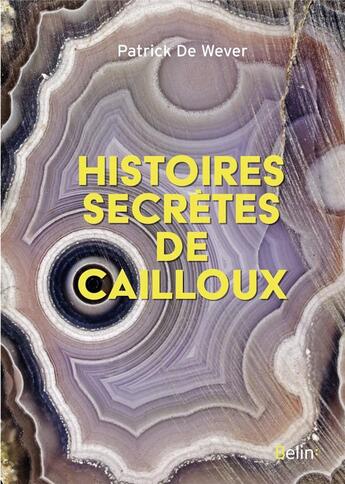 Couverture du livre « Histoires secrètes de cailloux » de Patrick De Wever aux éditions Belin