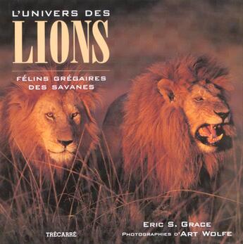 Couverture du livre « L'Univers Des Lions » de Eric Grace aux éditions Trecarre