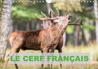 Couverture du livre « Le cerf francais calendrier mural 2018 din a4 horizontal - photos de cerfs en france cale » de Edouard B aux éditions Calvendo