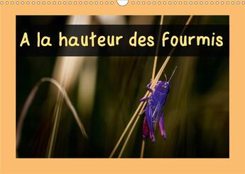 Couverture du livre « A la hauteur des fourmis (Calendrier mural 2020 DIN A3 horizontal) ; Calendrier mensuel, 14 pages avec des macrophotographies d'insectes des Pyrénées Orientales (Calendrier mensuel, 14 Pages ) » de Manzano Guilhem aux éditions Calvendo