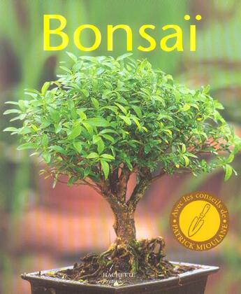 Couverture du livre « Bonsai » de Pfisterer-J aux éditions Hachette Pratique
