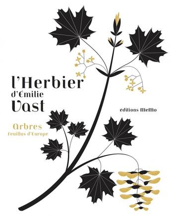 Couverture du livre « L'herbier » de Emilie Vast aux éditions Memo