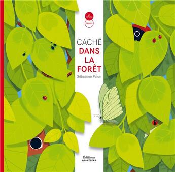 Couverture du livre « Caché dans la forêt » de Sebastien Pelon aux éditions Amaterra