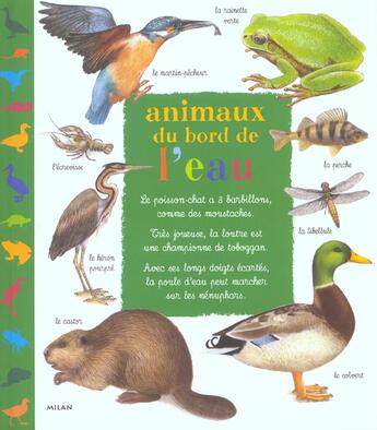 Couverture du livre « Animaux du bord de l'eau » de Catherine Fichaux aux éditions Milan