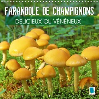 Couverture du livre « Champignons aux couleurs et au » de Calvendo K.A. aux éditions Calvendo