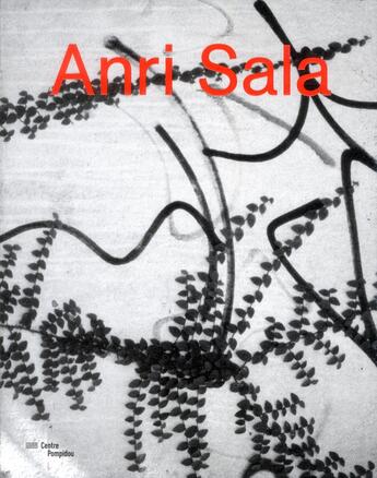 Couverture du livre « Anri sala » de Christine Macel aux éditions Centre Pompidou