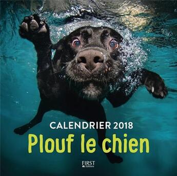 Couverture du livre « Plouf le chien » de Seth Casteel aux éditions First