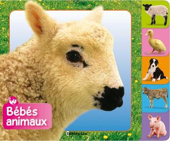 Couverture du livre « Bebes animaux : la ferme » de Christiane Gunzi aux éditions Lito