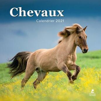 Couverture du livre « Chevaux ; calendrier (édition 2021) » de  aux éditions Place Des Victoires