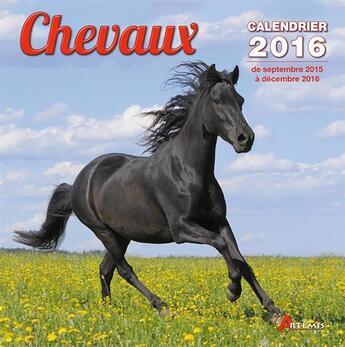 Couverture du livre « Chevaux (2016) » de  aux éditions Artemis