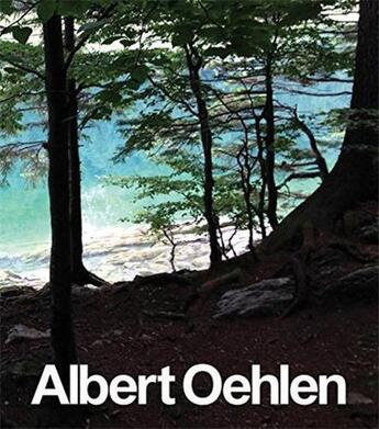 Couverture du livre « Albert oehlen new paintings » de Daniel Baumann aux éditions Rizzoli