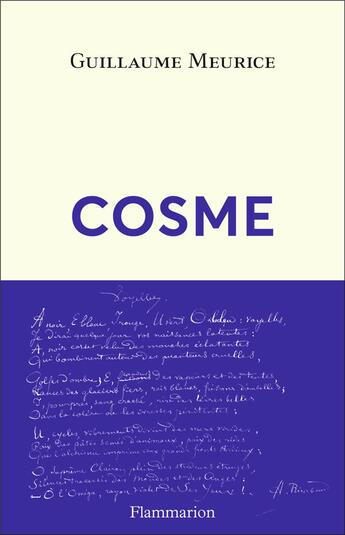 Couverture du livre « Cosme » de Guillaume Meurice aux éditions Flammarion