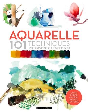 Couverture du livre « Aquarelle ; 101 techniques pour apprendre et progresser » de  aux éditions Dessain Et Tolra