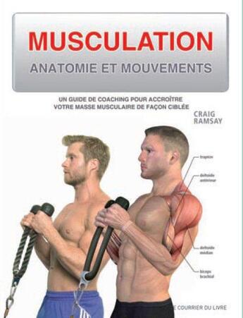 Couverture du livre « Musculation ; anatomie et mouvements ; un guide de coaching pour accroître votre masse musculaire de façon ciblée » de Craig Ramsay aux éditions Courrier Du Livre