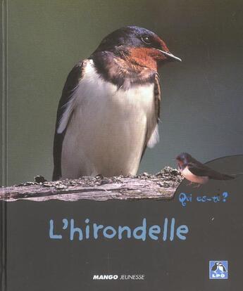 Couverture du livre « L'hirondelle » de Philippe Dubois aux éditions Mango