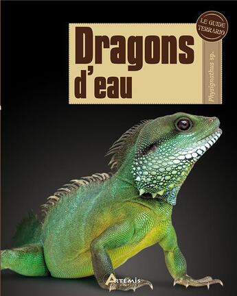 Couverture du livre « Dragons d'eau » de Bert Langerwerf aux éditions Artemis