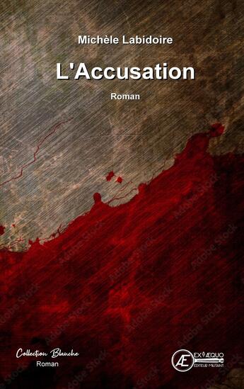 Couverture du livre « L'accusation » de Michele Labidoire aux éditions Ex Aequo