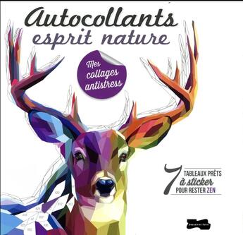 Couverture du livre « Tableaux déco autocollants ; esprit nature » de  aux éditions Dessain Et Tolra