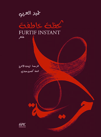 Couverture du livre « Furtif Instant » de Hamid Larbi aux éditions Apic Editions