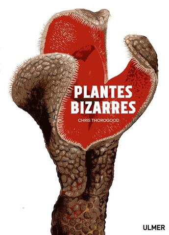 Couverture du livre « Plantes bizarres » de Chris Thorogood aux éditions Eugen Ulmer
