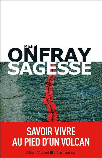 Couverture du livre « Sagesse ; savoir vivre au pied d'un volcan » de Michel Onfray aux éditions Albin Michel