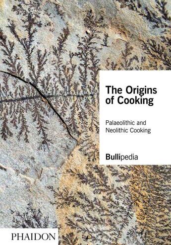 Couverture du livre « The origin of cooking ; palaeolithic and neolithic cooking » de  aux éditions Phaidon Press