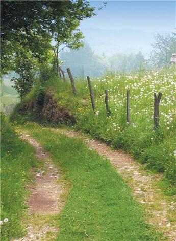 Couverture du livre « La croisée des chemins » de Jeanine Berducat aux éditions La Bouinotte