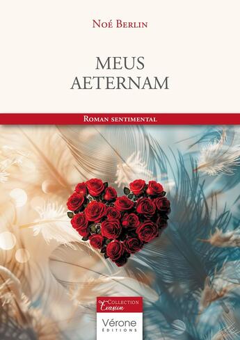 Couverture du livre « Meus aeternam » de Noe Berlin aux éditions Verone