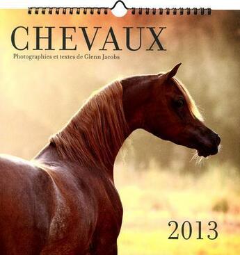 Couverture du livre « Chevaux ; calendrier 2013 » de  aux éditions Place Des Victoires