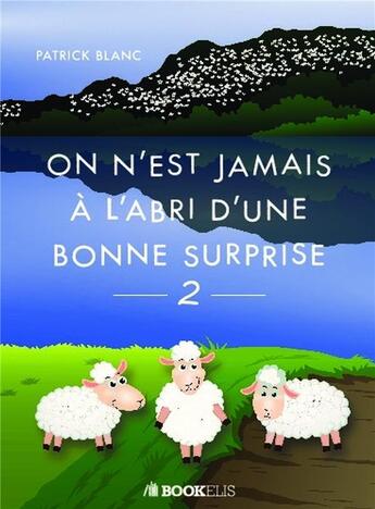 Couverture du livre « On n'est jamais à l'abri d'une bonne surprise t.2 » de Patrick Blanc aux éditions Bookelis