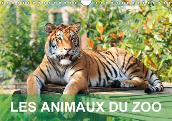 Couverture du livre « Les animaux du zoo calendrier mural 2018 din a4 horizontal - calendrier avec des photos ten » de Giot C aux éditions Calvendo