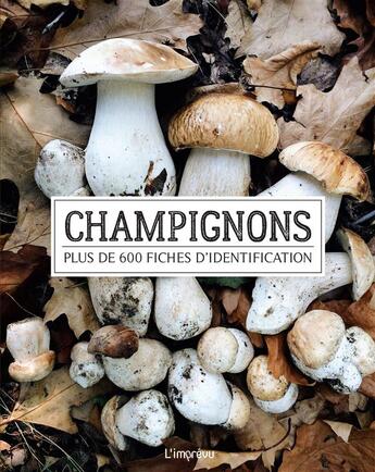 Couverture du livre « Champignons ; plus de 600 fiches d'identification » de Till Lohmeyer aux éditions L'imprevu