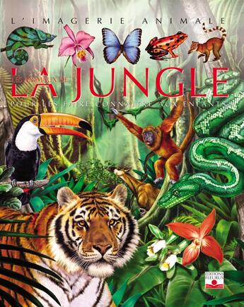 Couverture du livre « Les animaux de la jungle » de Chauvelot/Tempesta aux éditions Fleurus