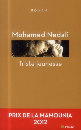 Couverture du livre « Triste jeunesse » de Mohamed Nedali aux éditions Editions De L'aube