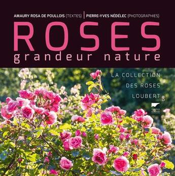 Couverture du livre « Roses grandeur nature ; la collection des roses Loubert » de Pierre-Yves Nedelec et Amaury Rosa De Poullois aux éditions Delachaux & Niestle