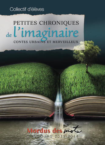 Couverture du livre « Petites chroniques de l'imaginaire » de  aux éditions Editions David