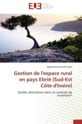 Couverture du livre « Gestion de l'espace rural en pays ebrie (sud-est cote d'ivoire) - quelles alternatives dans un conte » de Koffi-Didia A M. aux éditions Editions Universitaires Europeennes